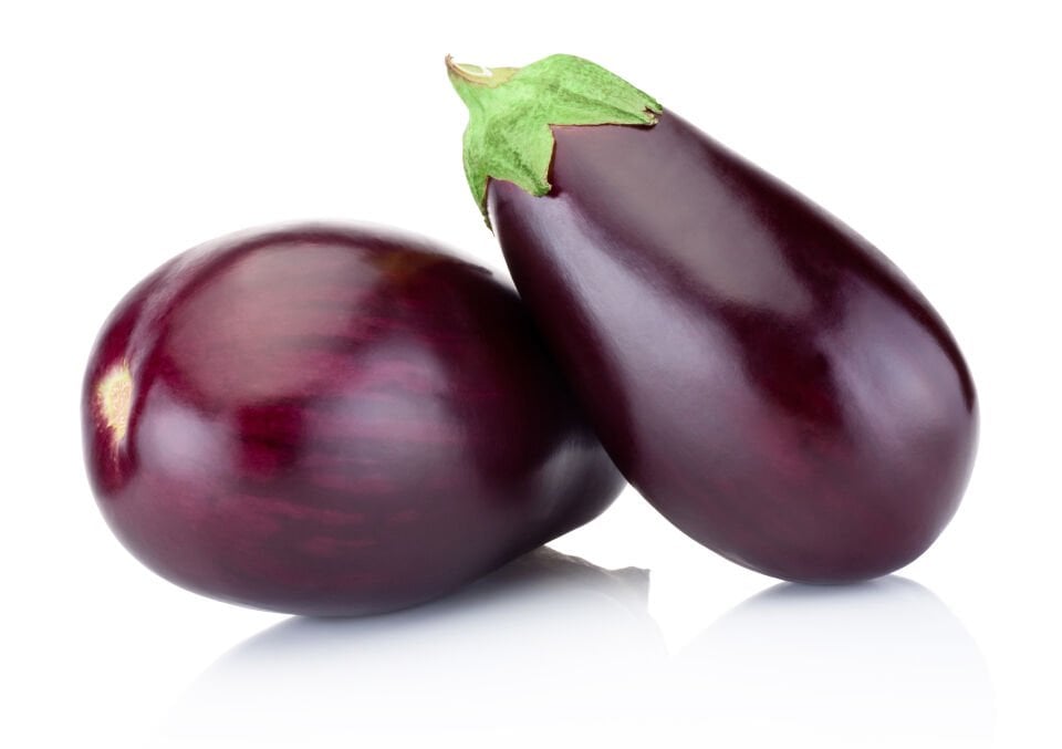 Top patlıcan fidesi