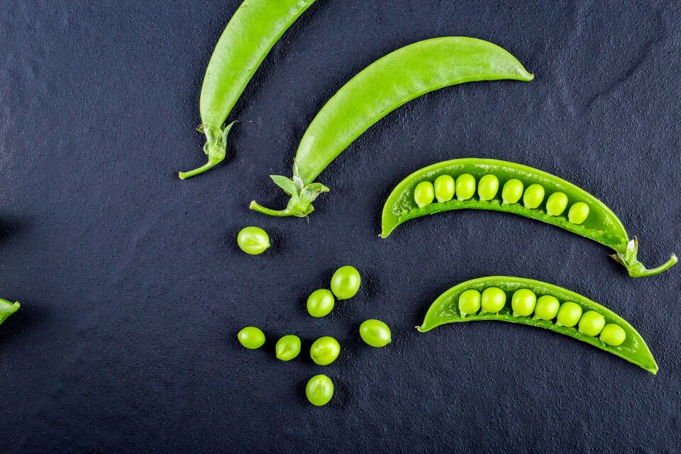 Sultani bezelye fidesi