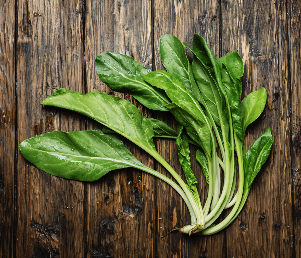 Yeşil köy pazı fidesi