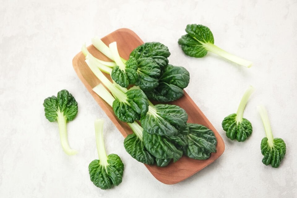Tatsoi fidesi