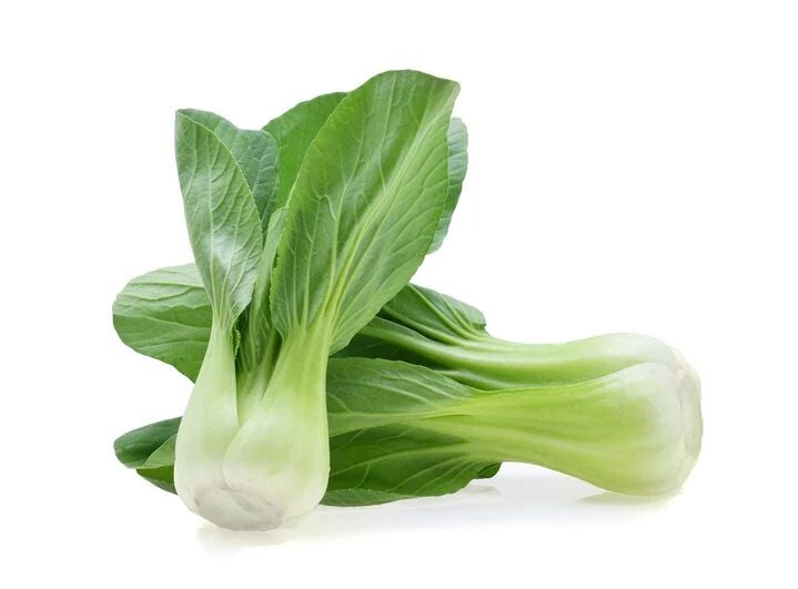 Pakçoi fidesi (çin marulu)