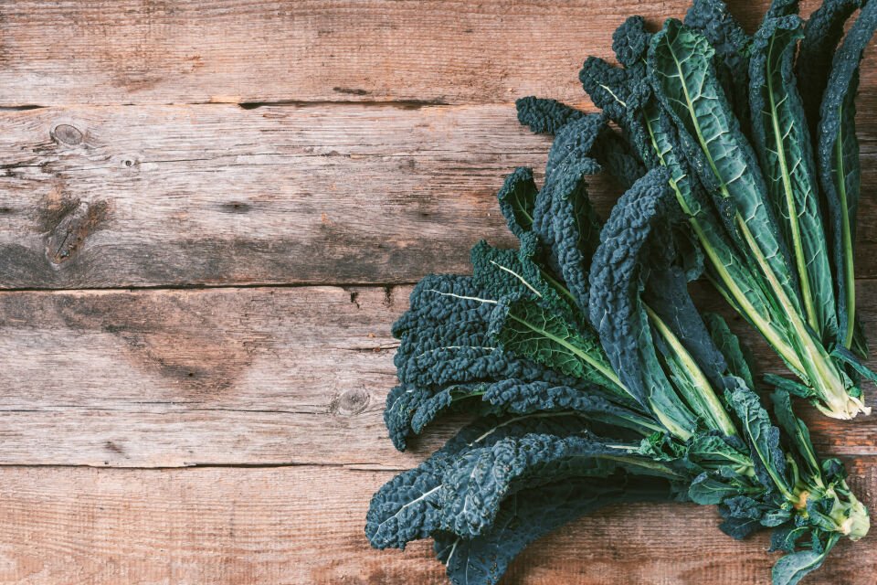 Palmiye kale fidesi (karalahana)