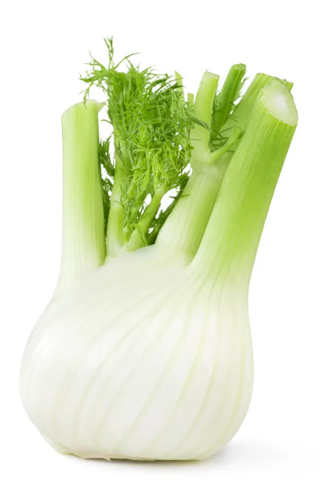 Rezene fidesi