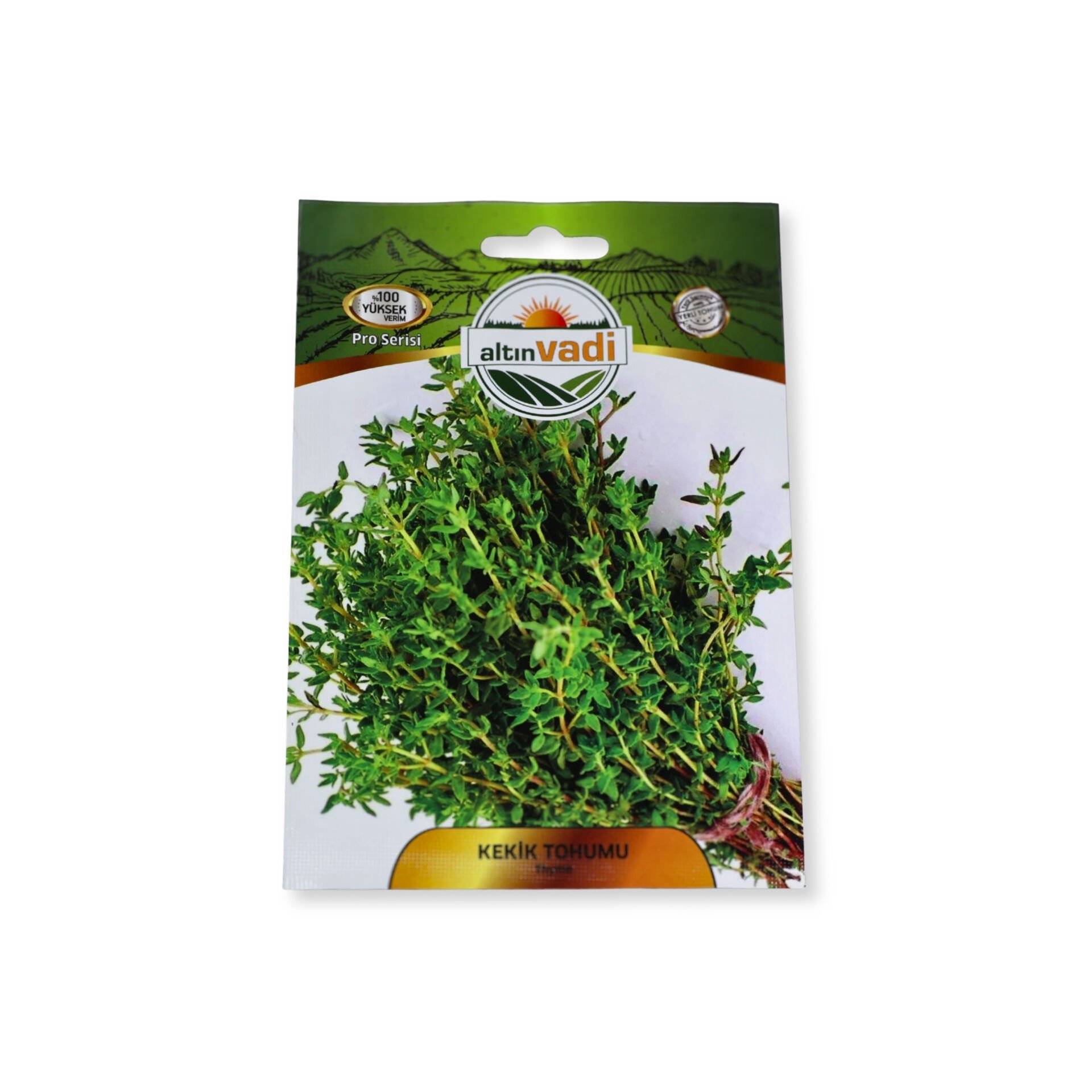 Ortaboy altın kekik  fidesi