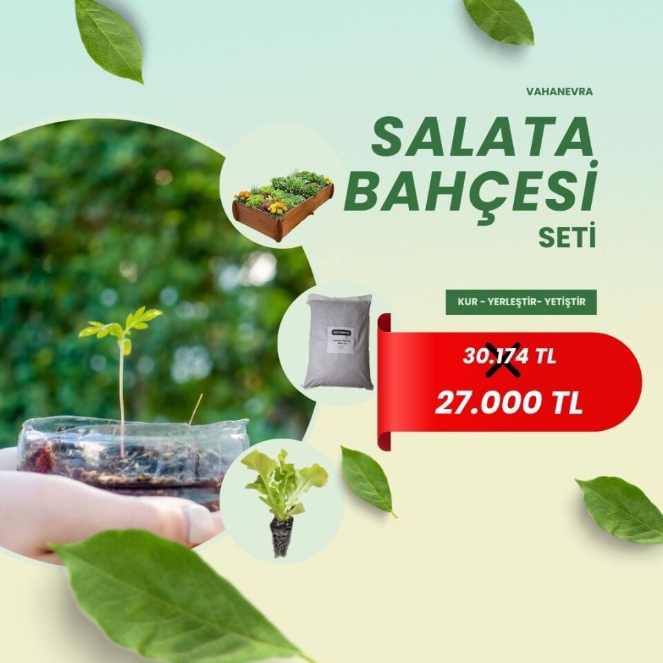 Salata Bahçesi Seti – Ahşap Bitki Yatağı & Organik Başlangıç Paketi