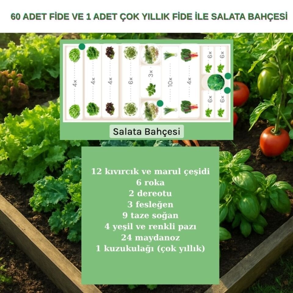 Salata Bahçesi Seti – Ahşap Bitki Yatağı & Organik Başlangıç Paketi