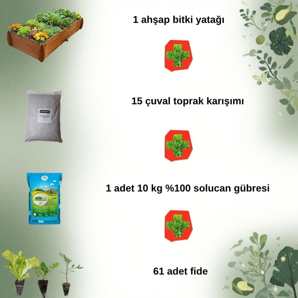 Salata Bahçesi Seti – Ahşap Bitki Yatağı & Organik Başlangıç Paketi