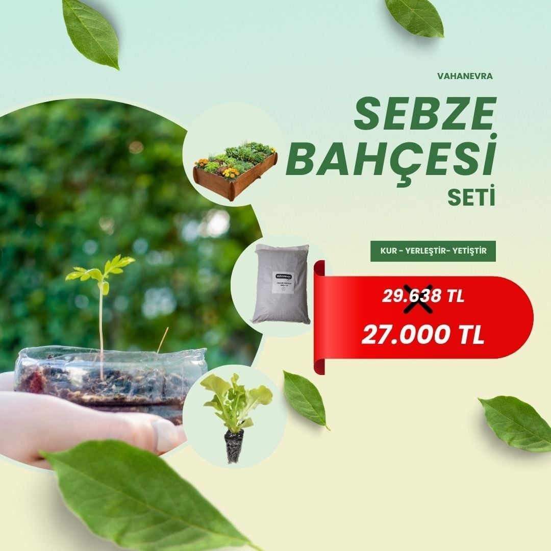 Sebze Bahçesi Seti – Ahşap Bitki Yatağı & Organik Başlangıç Paketi