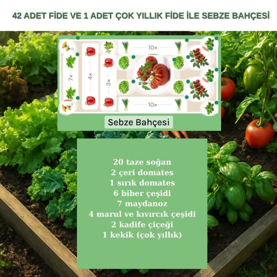 Sebze Bahçesi Seti – Ahşap Bitki Yatağı & Organik Başlangıç Paketi