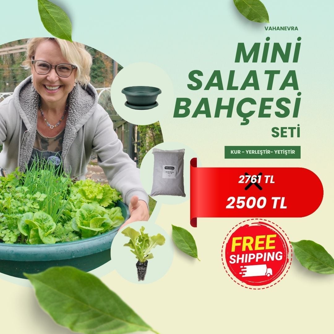 Mini Salata Bahçesi Seti - 18 Fide & Hazır Toprak & Sebze Yatağı