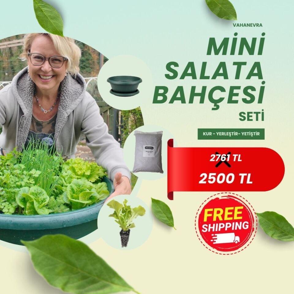 Mini Salata Bahçesi Seti - 18 Fide & Hazır Toprak & Sebze Yatağı
