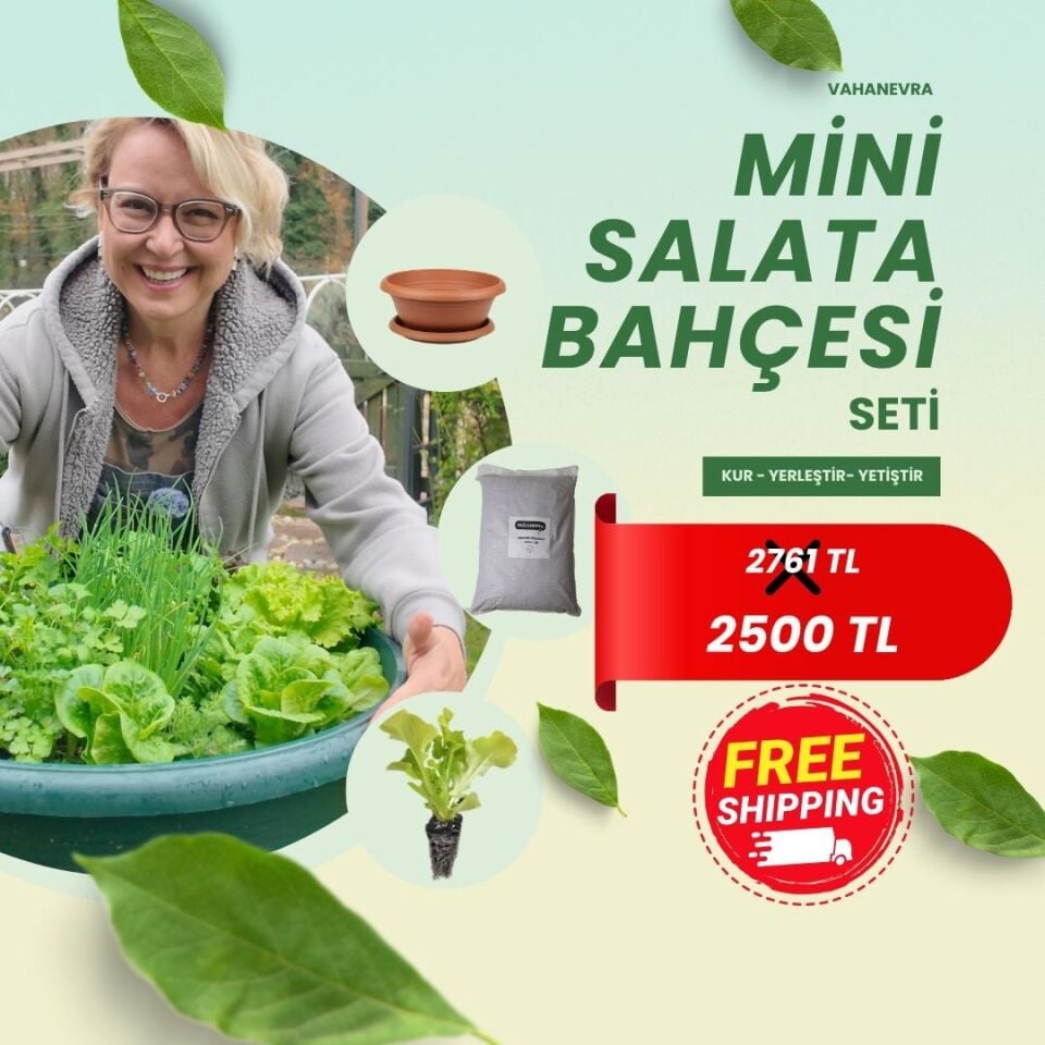 Mini Salata Bahçesi Seti - 18 Fide & Hazır Toprak & Sebze Yatağı