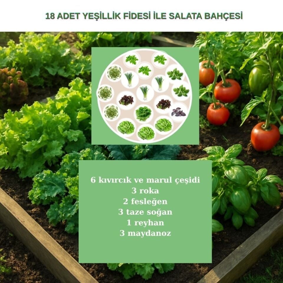 Mini Salata Bahçesi Seti - 18 Fide & Hazır Toprak & Sebze Yatağı
