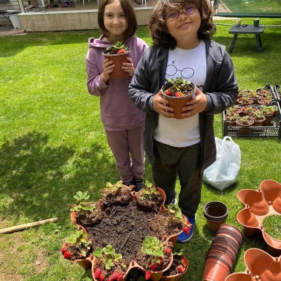 Yediveren Tekerlekli