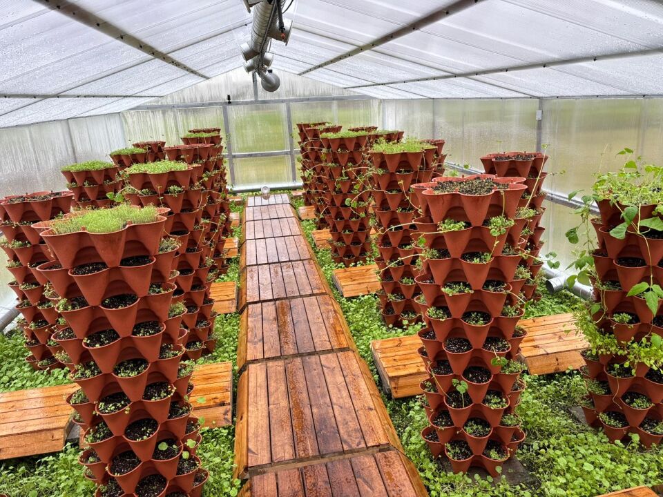 Yediveren Tekerlekli