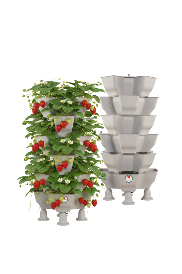 Yonca Sabit 6 Katlı