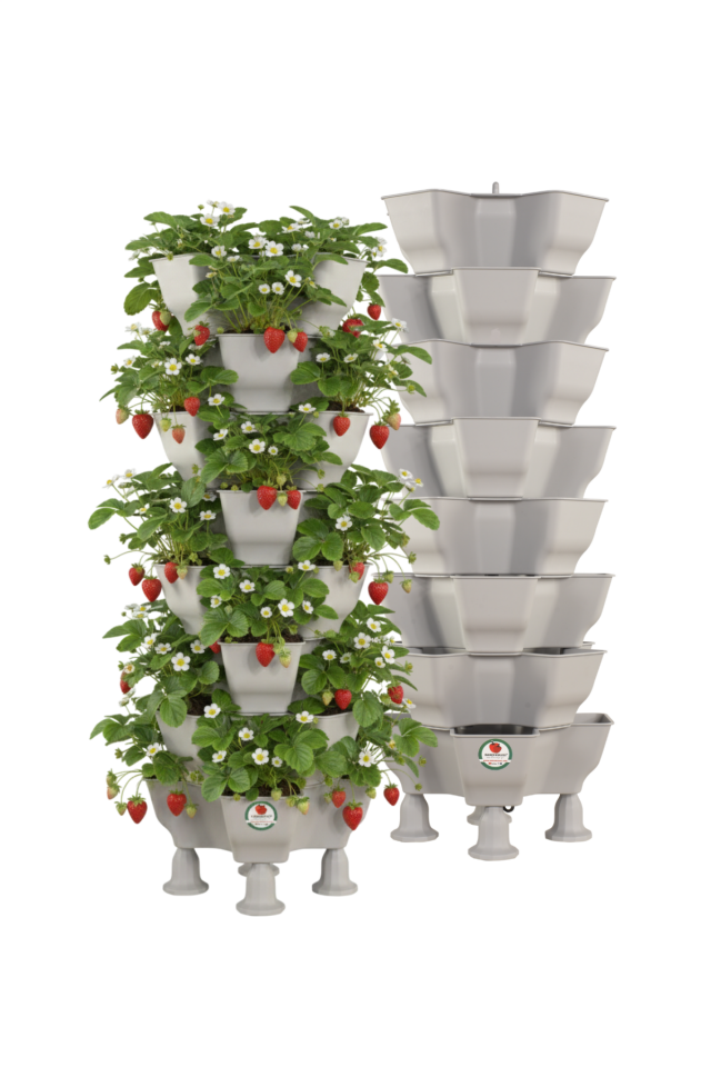 Yonca Sabit 8 Katlı