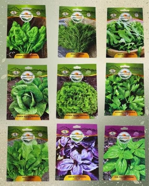 Salata Bahçesi